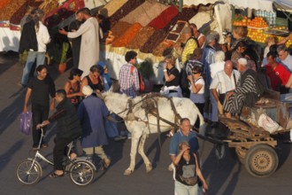 Place Djemaa el Fna Marrakech, Morocco, Africa