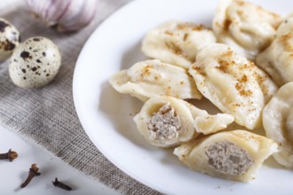 Dumplings on a white plate, selective focus. close up