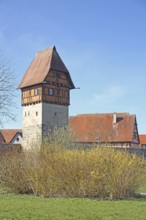 Bäuerlinsturm as part of the historic town fortifications, town wall in spring, Dinkelsbühl, Middle