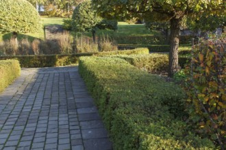 Park with green lawn, trees trimmed bushes and natural stone path in autumn. Modern landscape