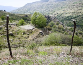 Landscape of the River Rio Poqueira gorge valley, High Alpujarras, Sierra Nevada, Granada Province,