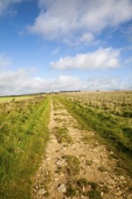 The Ridgeway long distance footpath dating from prehistory near its start on Overton Hill,