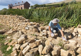 Man working building a dry stone wall near Abbotsbury, Dorset, England, UK