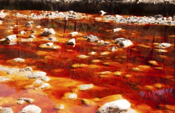 Blood red mineral laden water Rio Tinto river Minas de Riotinto mining area, Huelva province,