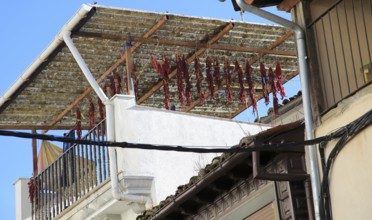 Red paprika peppers drying on house roof terrace, Cuacos de Yuste, La Vera, Extremadura, Spain,