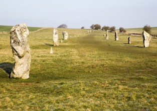 Lines of standing sarsen stones form the Avenue, Avebury World Heritage site, Wiltshire, England,