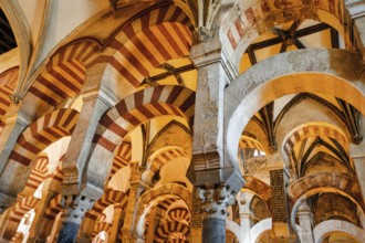 Moorish arches in columned hall, incidence of light in Mezquita, former mosque, interior view,