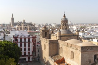 Cityscape view over rooftops towards the cathedral, Seville, Spain the Iglesia de la Anunciación in