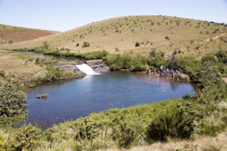 Weir and pool in the Belihul Oya river, Horton Plains National Park, Central Province, Sri Lanka,