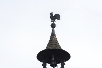 Weathercock on the roof of a house, Munich, Bavaria, Germany, Europe