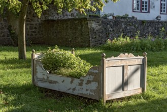 Old wooden bed as raised bed, herb garden, herbs and vegetables grown in it, garden of Friedberg