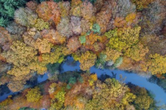 Aerial view of the Hunte in autumn, Meander, Hunte loop, Hunte, river, tree, forest, autumn