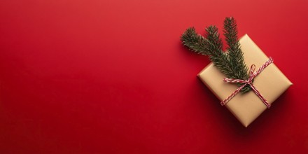 Banner with small Christmas gift box wrapped in graft paper with fir branch on side of red