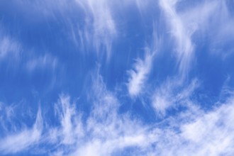 Cirrus clouds, ice clouds at high altitude, also known as feather clouds