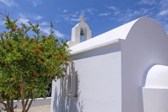 Small chapel with pomegranate (Punica granatum), Paros, Cyclades island, Greece, Europe