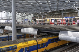 Public transport connections at The Hague Central Station, Centraal Station, local transport,