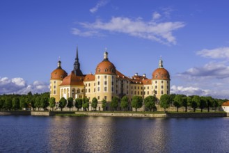 Moritzburg Castle, municipality of Moritzburg near Dresden, Saxony, Germany, Europe