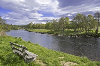 Old weathered wooden bench on riverbank along the river Spey in spring at Grantown-on-Spey,