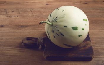 Dino melon, white with green stripes, small size, on the table, close-up, no people