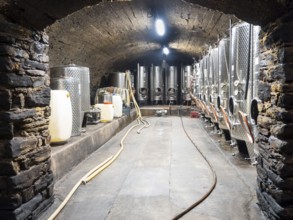 Stainless steel wine barrels in the wine cellar at the winery for fermenting Riesling wines,