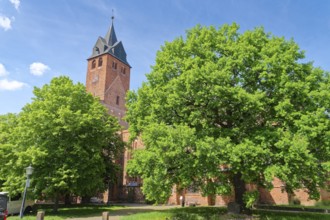 The church of St Nikolai in the old town of Gardelegen. Hanseatic town of Gardelegen,