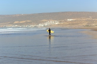 Person surfer in Atlantic Ocean on beach, Taghazout, Morocco, North Africa, Africa