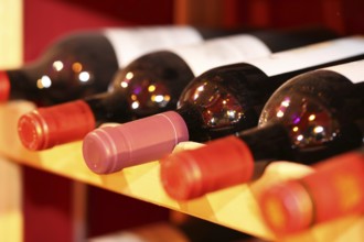 Wine cellar with red wine bottles