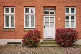 Reddish façade of an old house with white doors and windows and two red-leaved loquats (Photinia)