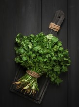 Bunch of fresh Cilantro, on a gray wooden table, close-up, top view, no people