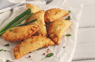 Fried chebureks, close-up, on a light background, no people