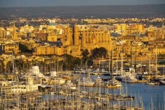 Panorama of Palma de Majorca, Bay of Palma, with the marina and the Cathedral of St Mary, Balearic