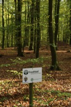 Europe, Germany, Lower Saxony, Stade district, cemetery forest in Neukloster Forst, burial in