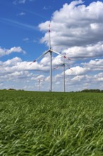 Wind farm, wind turbine, wind turbines from the manufacturer Enercon, blue sky with many white