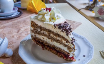 Traditional buckwheat cake at Cafe De Kaffeestuuv, Schneverdingen, Lüneburg Heath, Lower Saxony,