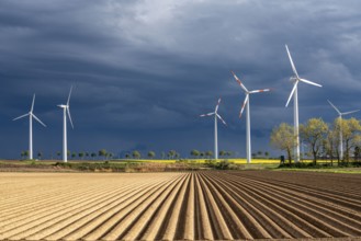 Wind turbines on a rape field, dark rain clouds, in the Rhenish lignite mining area, near