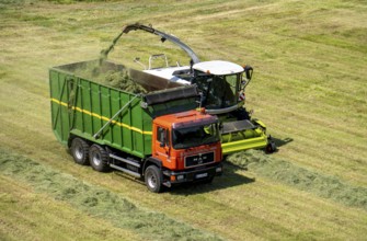 Hay harvest, on a Rhine meadow near Duisburg-Beeckerwerth, a forage harvester picks up the cut