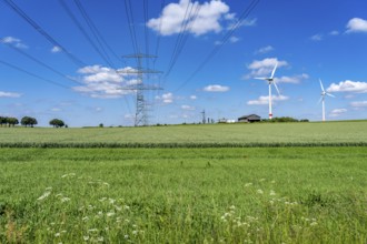 Wind farm near Brilon-Radlinghausen, high-voltage power lines, Sauerland, North Rhine-Westphalia,