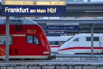 Frankfurt am Main main station, tracks, platforms, trains, Hesse, Germany, Europe