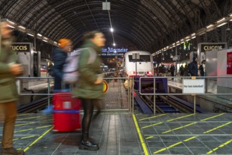 Frankfurt am Main main station, ICE train on platform, traveller, Hesse, Germany, Europe