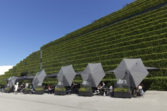 Kö-Bogen II office and commercial building, façade planted with 30, 000 hornbeams, ecological