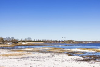 View at lake Hornborgasjön with cranes (Grus grus) and a visitor center with snow in early spring,