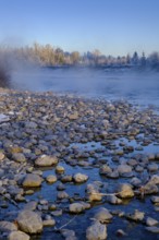 Sunrise on the Isar, Isar floodplains in winter, near Arzbach, Lenggries, Upper Bavaria, Bavaria,