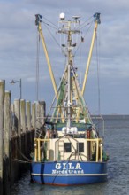 Fishing cutter, harbour, Strucklahnungshörn, Nordstrand, North Frisia, Schleswig-Holstein, Germany,