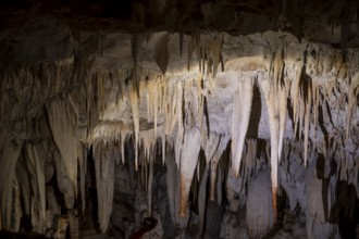 Stalactites in a stalactite cave, Terciopelo Cave, Barra Honda National Park, Costa Rica, Central