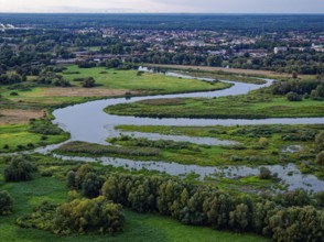 The Warta Estuary National Park, Park Narodowy Ujscie Warty, where the Warta flows into the Oder.