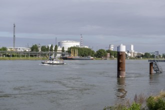 BASF, Lugwigshafen am Rhein, industrial area, bollard, jetty, Mannheim, Baden-Württemberg, Germany,