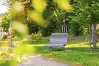 Wooden bench in a green park with surrounding vegetation, trees and sunny weather, inviting and