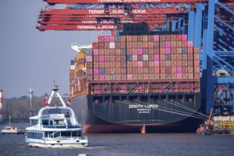 Port of Hamburg, Waltershofer Hafen, HHLA Container Terminal Burchardkai, Container Freighter