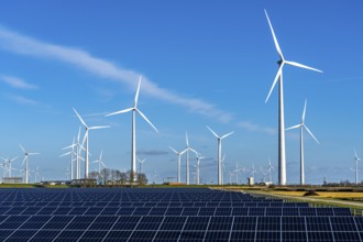 Vopak Solarpark Eemshaven, 19 hectares of solar modules with a capacity of 25 megawatts, around the