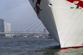 Cruise ship Iona of the British shipping company P&O Cruises, moored at the pier of the Cruise